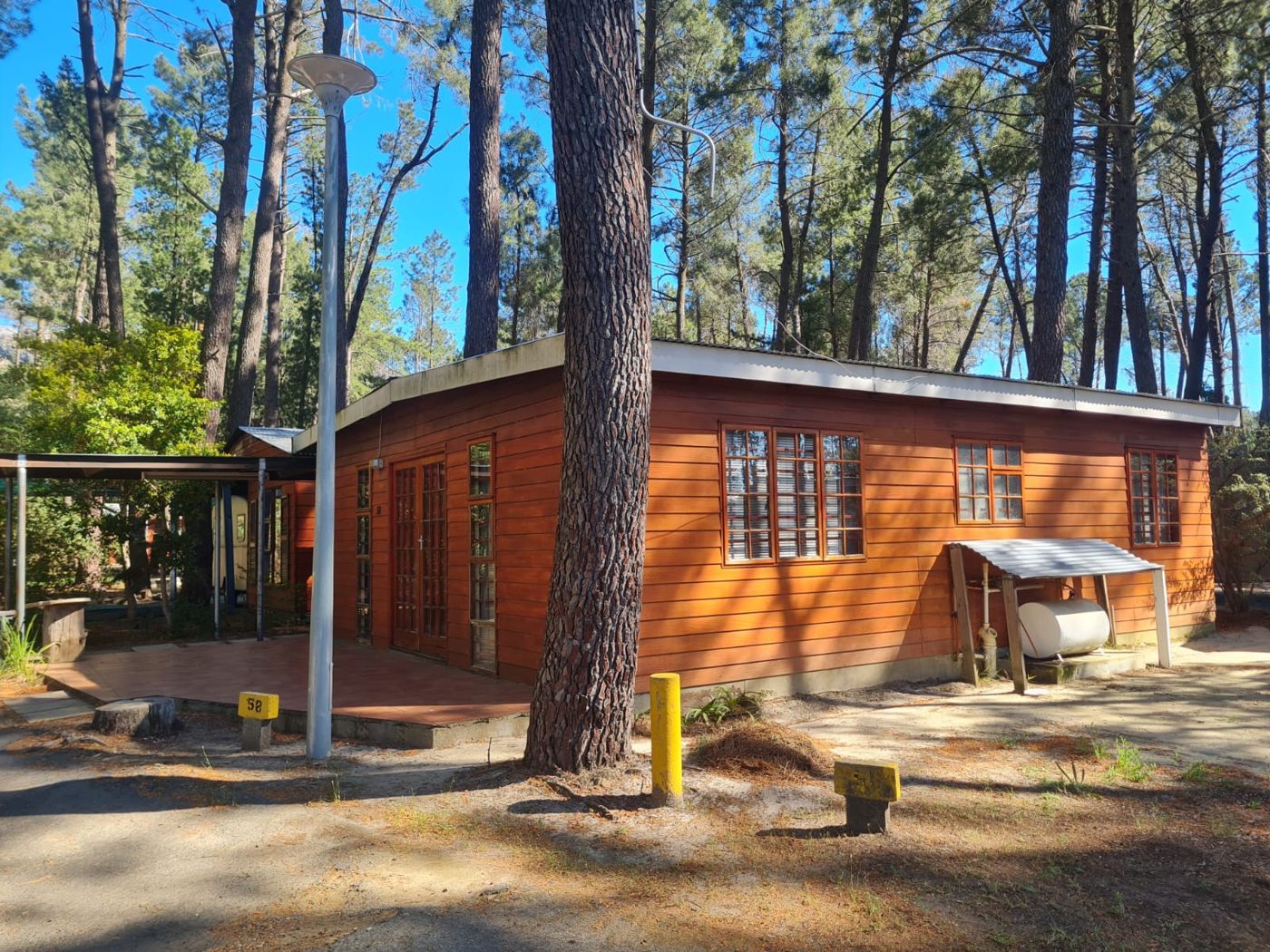 Cabin in the pines